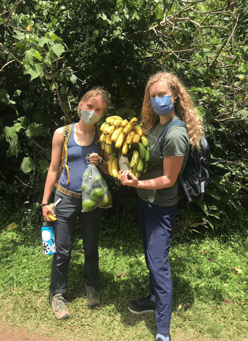 Photo for blog post Women in Stem Take a Trip to the Farm