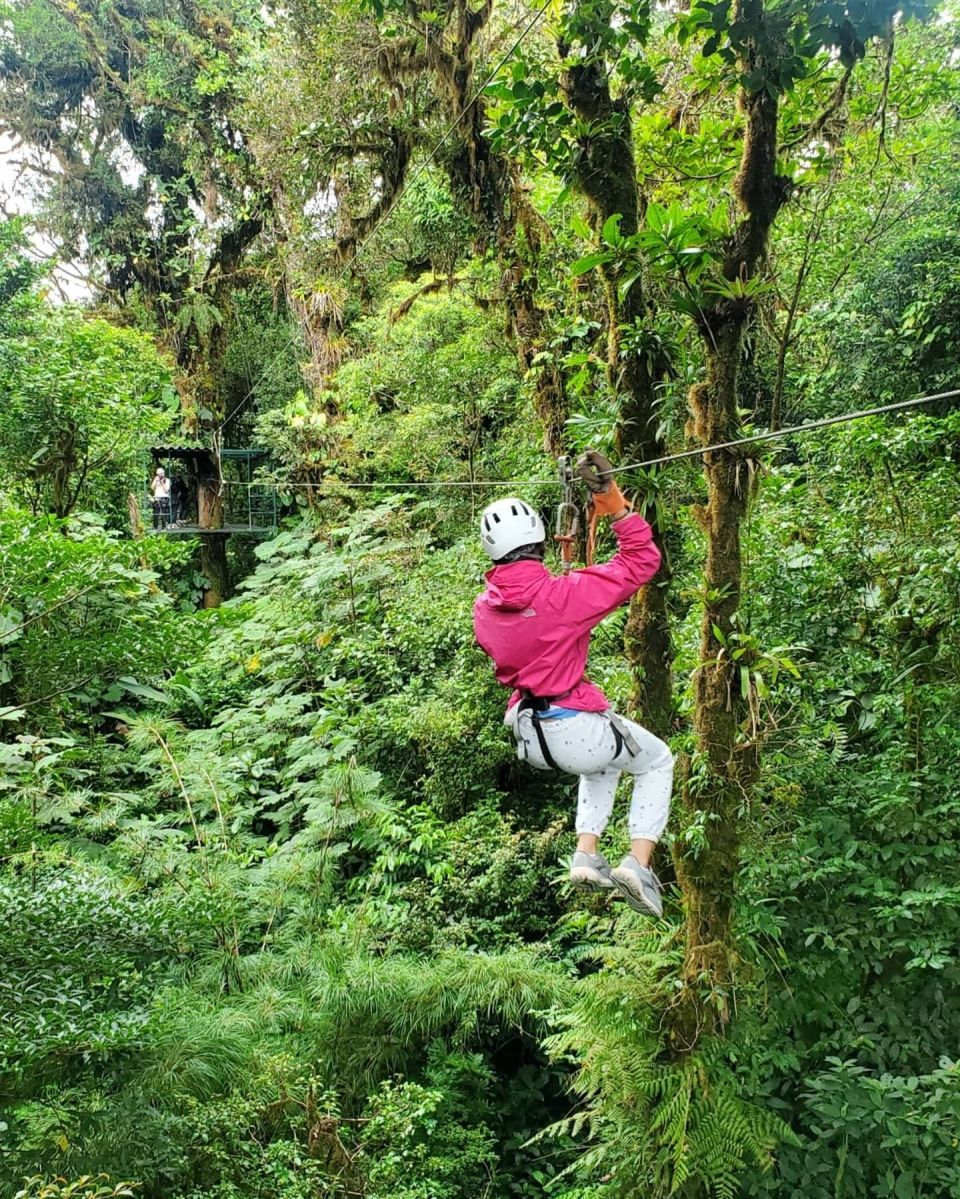 Photo for blog post Waterfalls & Ziplines in Monteverde!