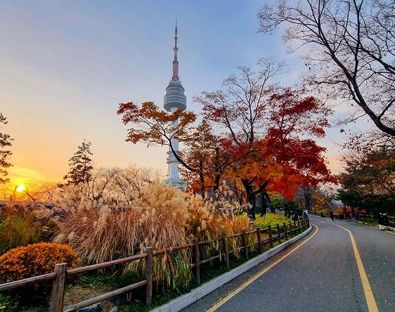 summer in seoul south korea