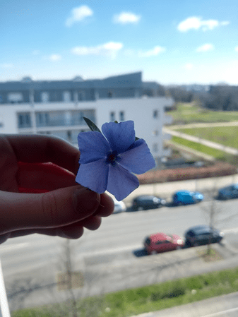 Photo for blog post An unexpected journey 