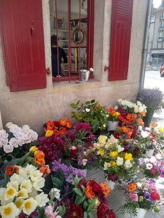 Photo for blog post An unexpected journey 