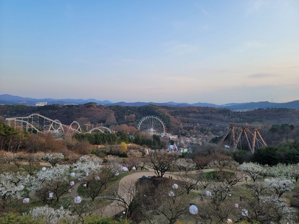 Photo for blog post 21st Birthday Spent at Everland