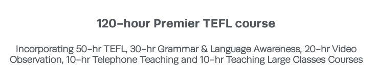 Photo for blog post Completing my TEFL Certification