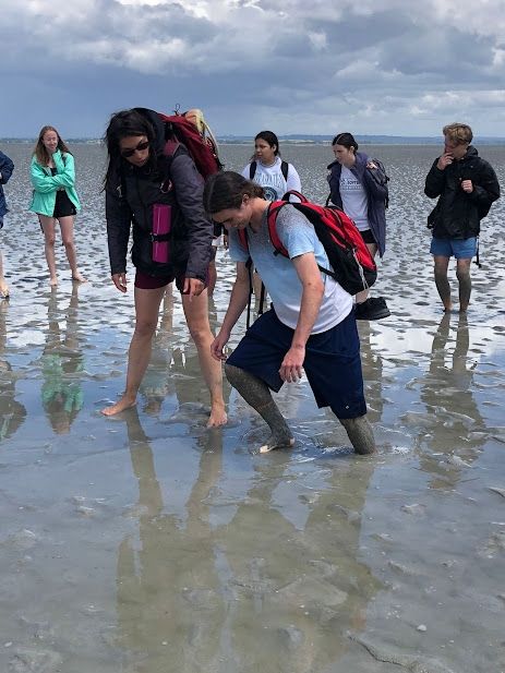 Photo for blog post Le Mont Saint-Michel: History, Architecture, and Quicksand!