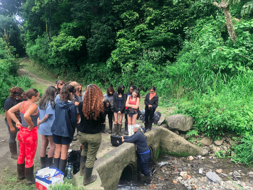 Luisa explaining todays activity!