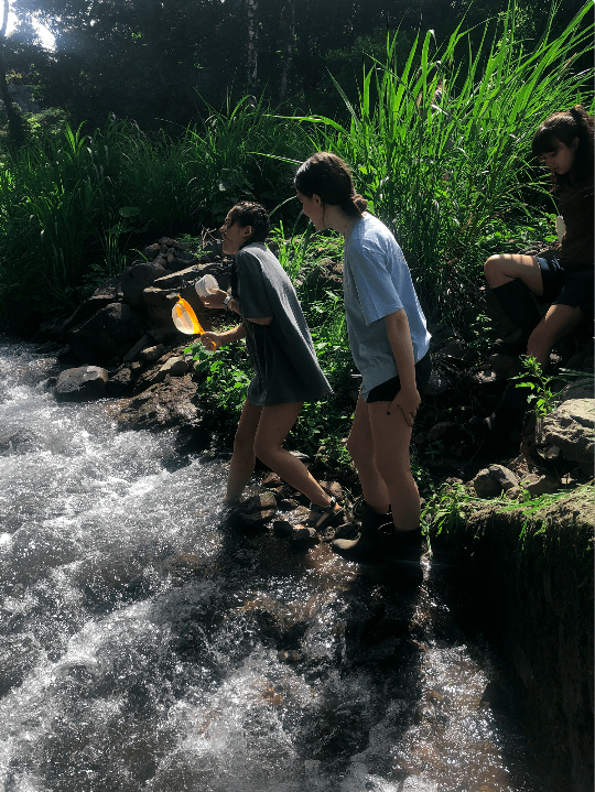Zoey, Jessica and Amelia ready to have fun collecting invertebrates at the creek!