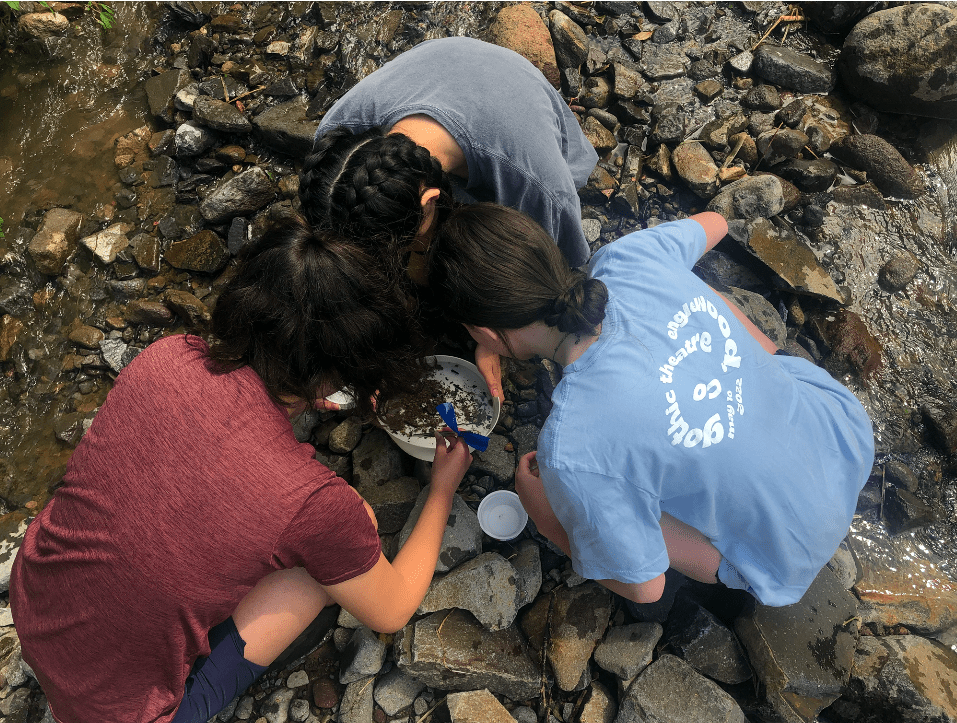 Looking for some samples to take to the lab!
