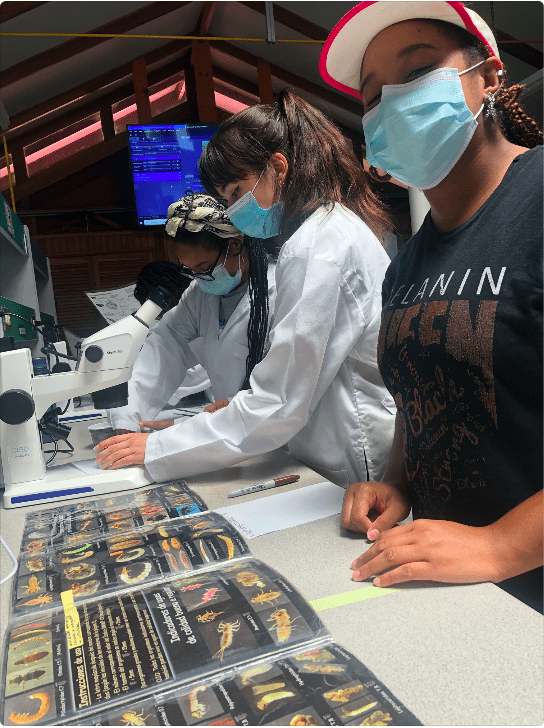 Photo for blog post Let´s get to work: Future scientists learning about invertebrates!