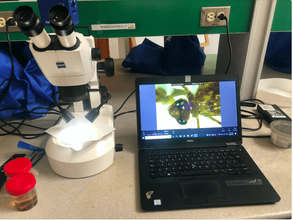 Learning how to use technology applied to biology