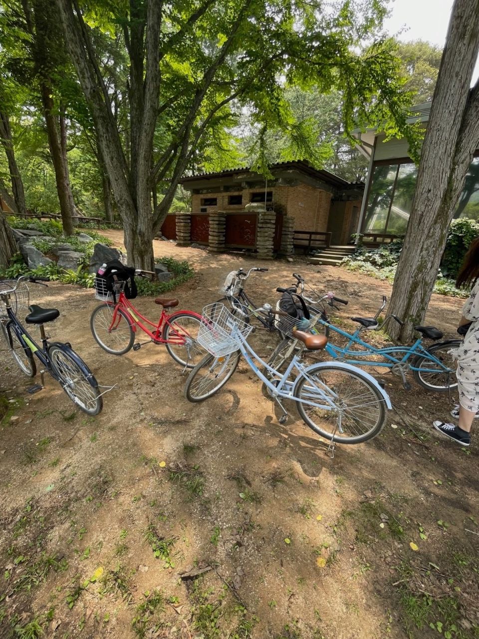 Photo for blog post Student Spotlight - Nicolas "A trip to Nami Island"