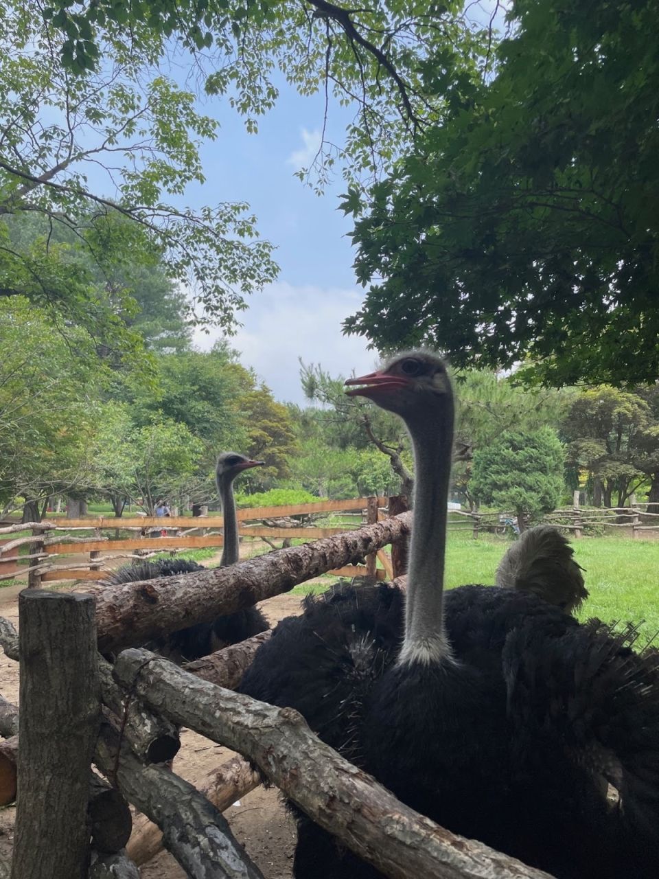 Photo for blog post Student Spotlight - Nicolas "A trip to Nami Island"