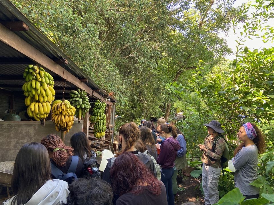 Photo for blog post La Finca Feminista: The Legacy and History of Women in Agriculture