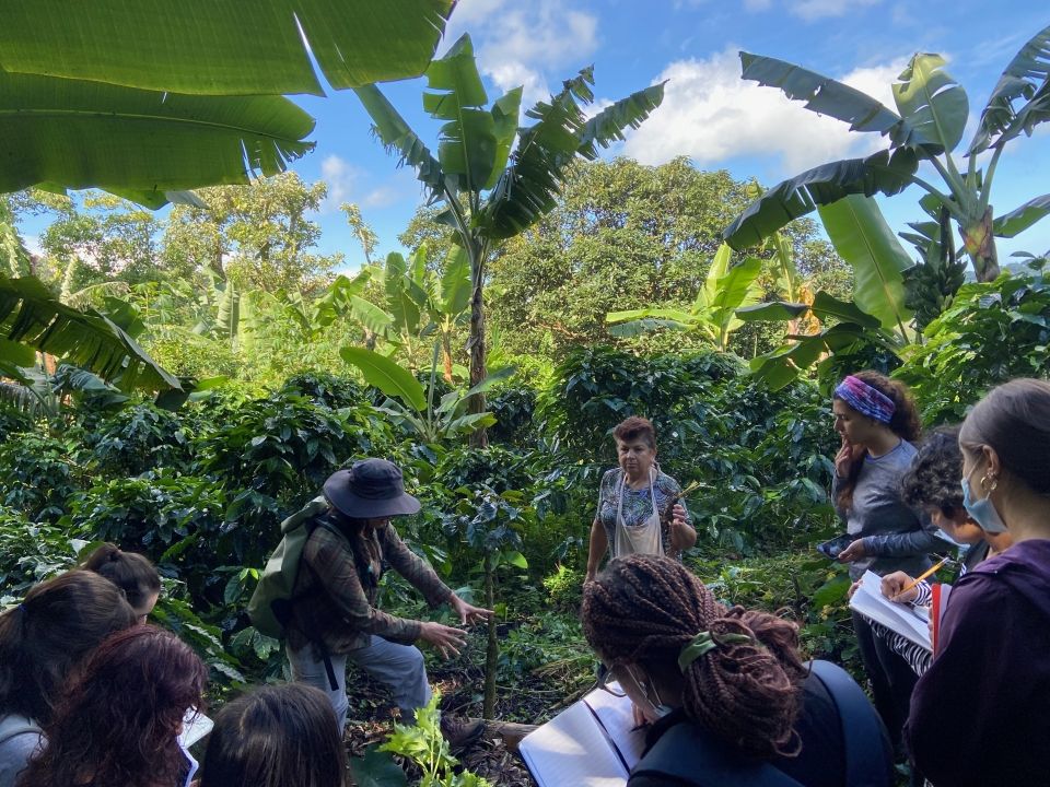 Photo for blog post La Finca Feminista: The Legacy and History of Women in Agriculture