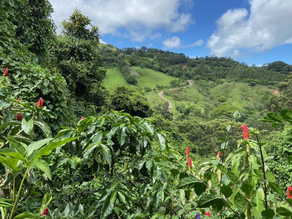 Photo for blog post La Finca Feminista: The Legacy and History of Women in Agriculture