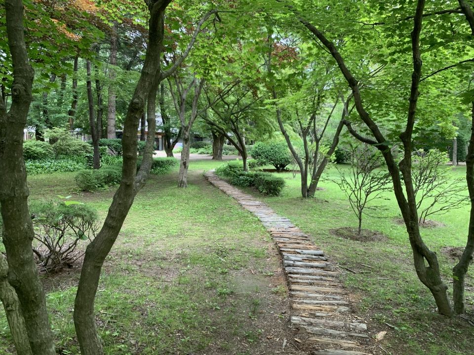 Photo for blog post Subway, train, bus, and ferry---Oh MY!  Adventure to Nami Island.....