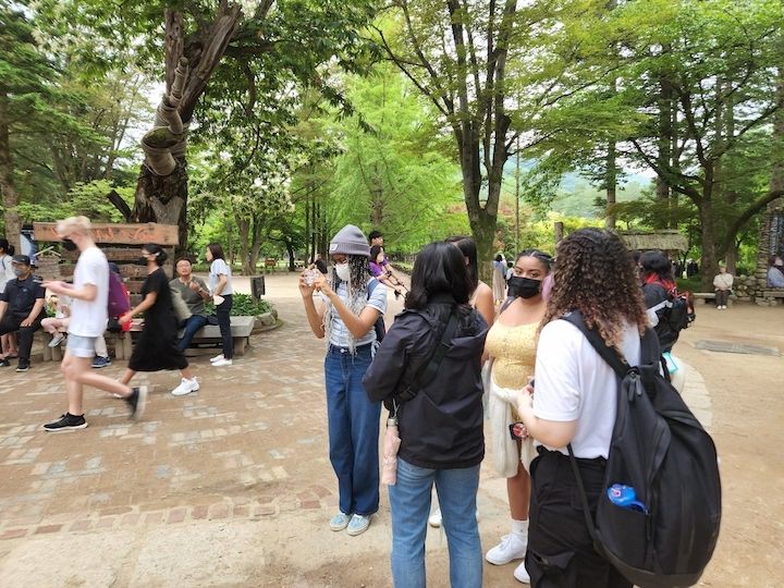 Photo for blog post Subway, train, bus, and ferry---Oh MY!  Adventure to Nami Island.....