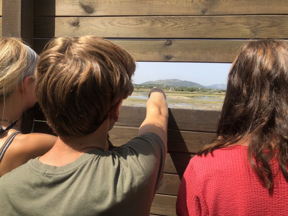 Photo for blog post Nature Walks, Village Visits and Cala Hikes in Alcúdia