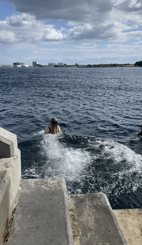 Photo for blog post Guest Blog: Diving in Denmark by Sofie Fencl