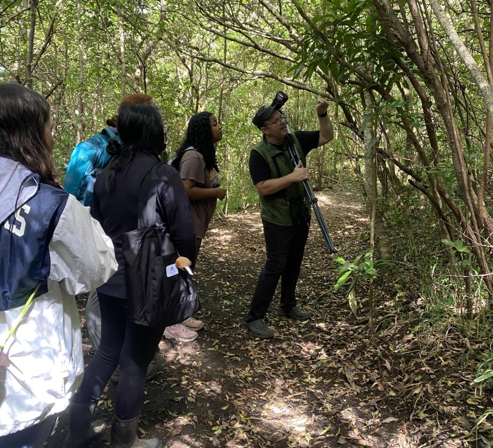 Photo for blog post Children's Eternal Rainforest Guided Tour