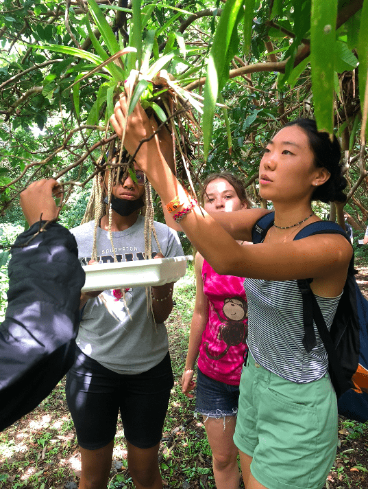 Miranda taking her sample for the Lab activity