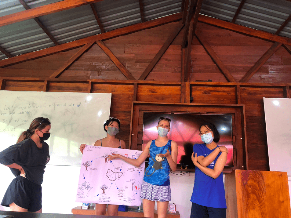 Cait, Marine, Ella and Calysta explaining their work to the class.