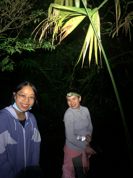 Photo for blog post Between tapirs and celestial water