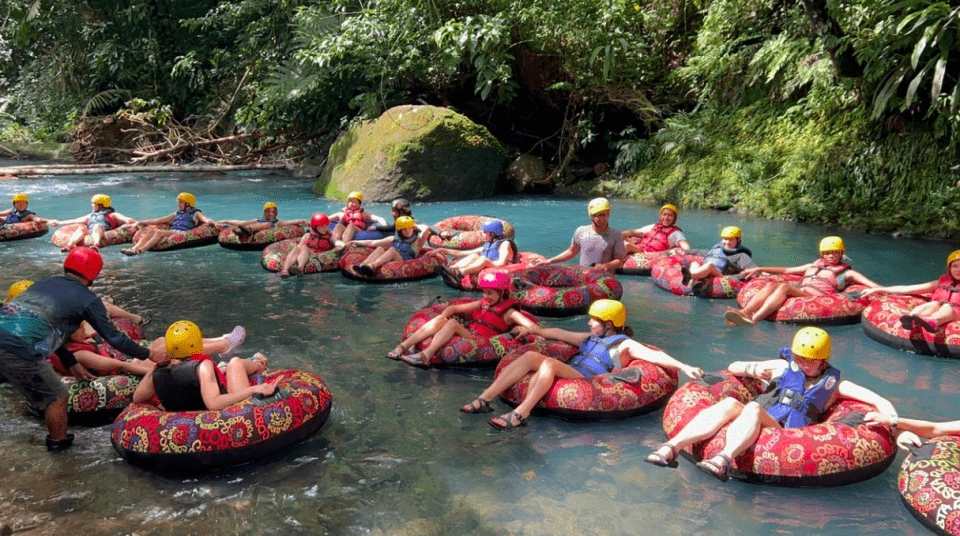 Photo for blog post Between tapirs and celestial water