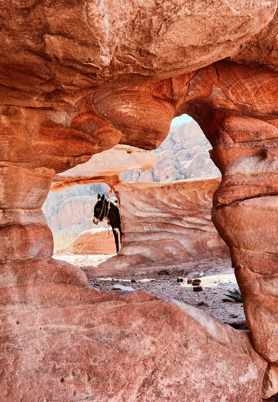 Photo for blog post Top 5 Destinations in Jordan