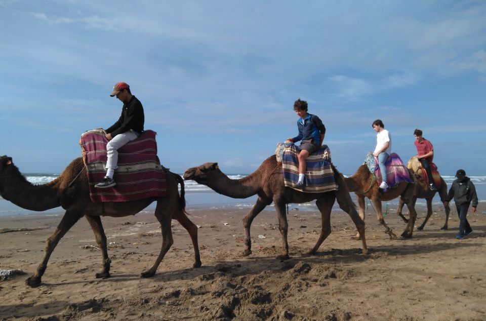 high schoolers riding camels in morocco on their gap year