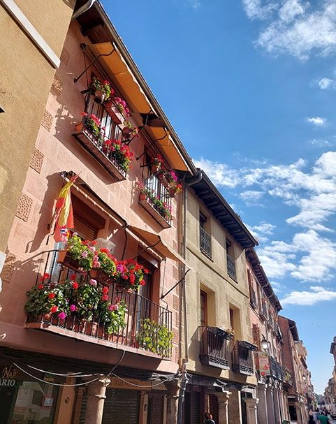 alcala de henares street shot with buildings and flowers