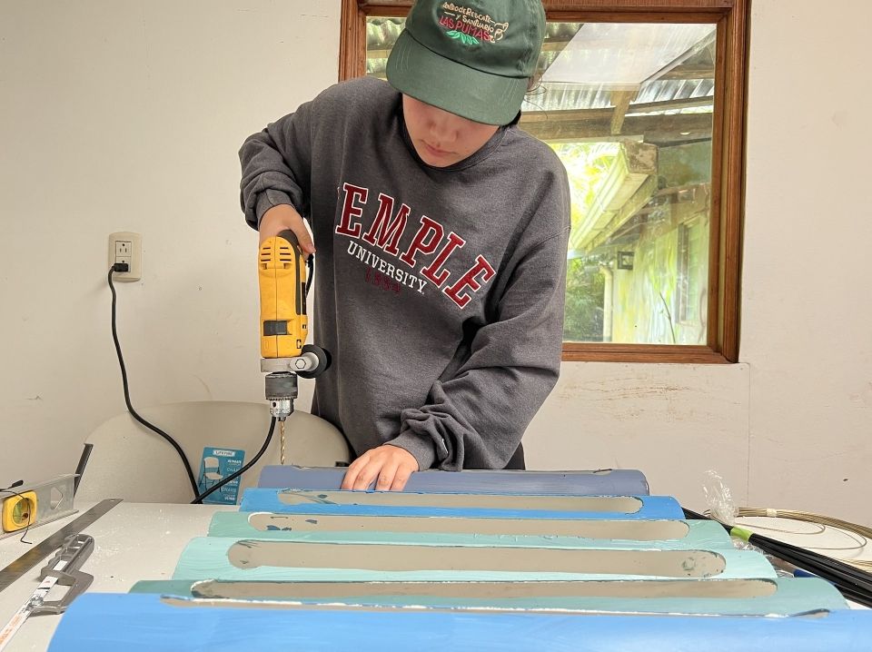 Photo for blog post CIEE Global Interns Building a Sustainable Future