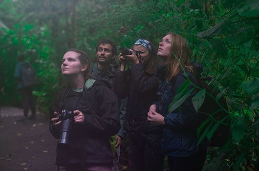 monteverde ecology program students in the rainforest