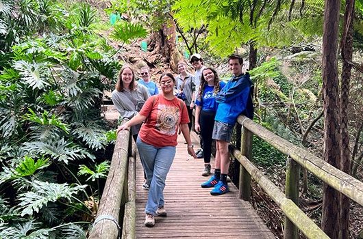 forest excursion while studying abroad in sydney australia