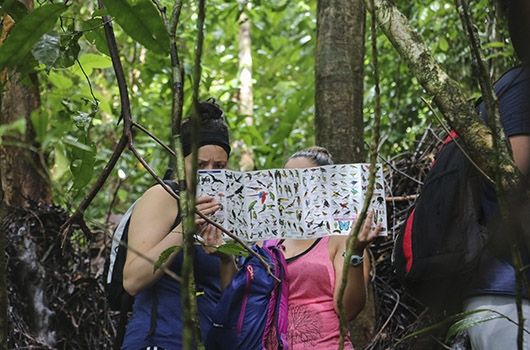 STEM study abroad students in the rainforest of costa rica
