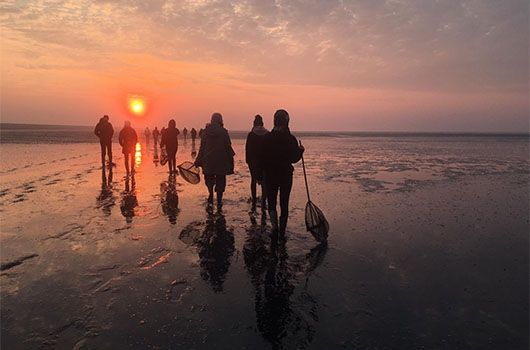 study abroad amsterdam beach walk