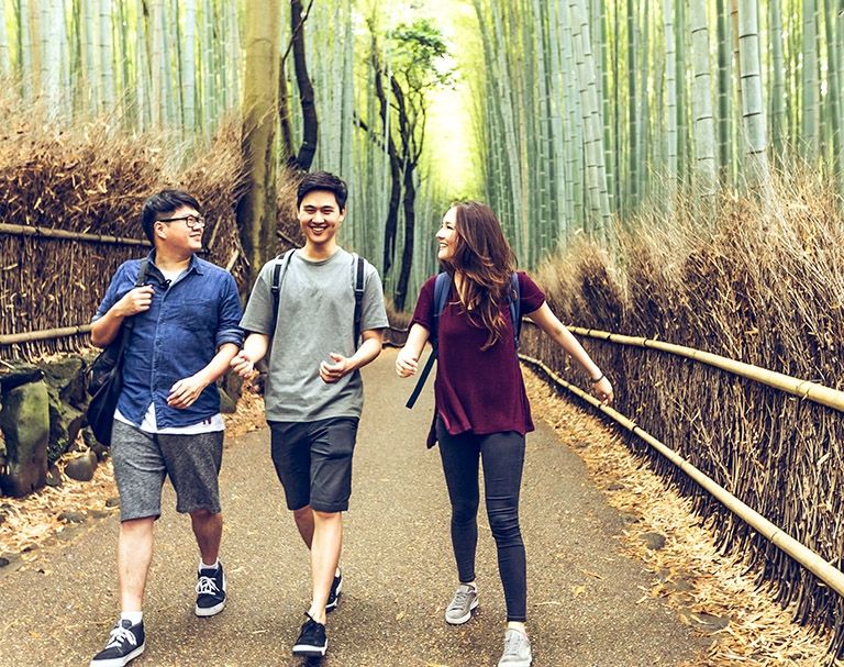 study abroad students in japan bamboo forest