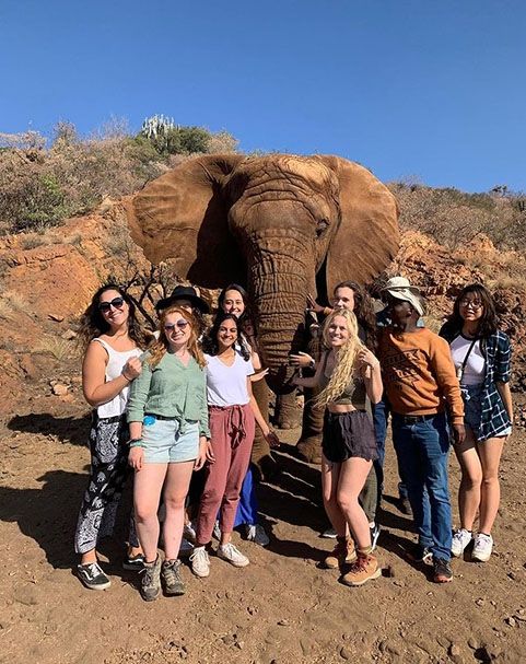 gaborone botswana study abroad elephant