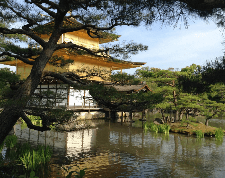 tokyo temple reflection water