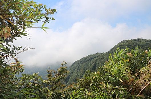 monteverde rainforest waterfall