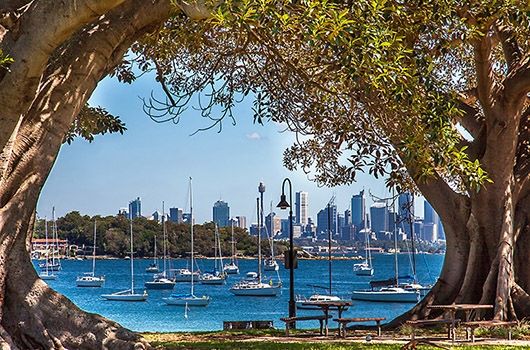 sydney australia sunny summer day