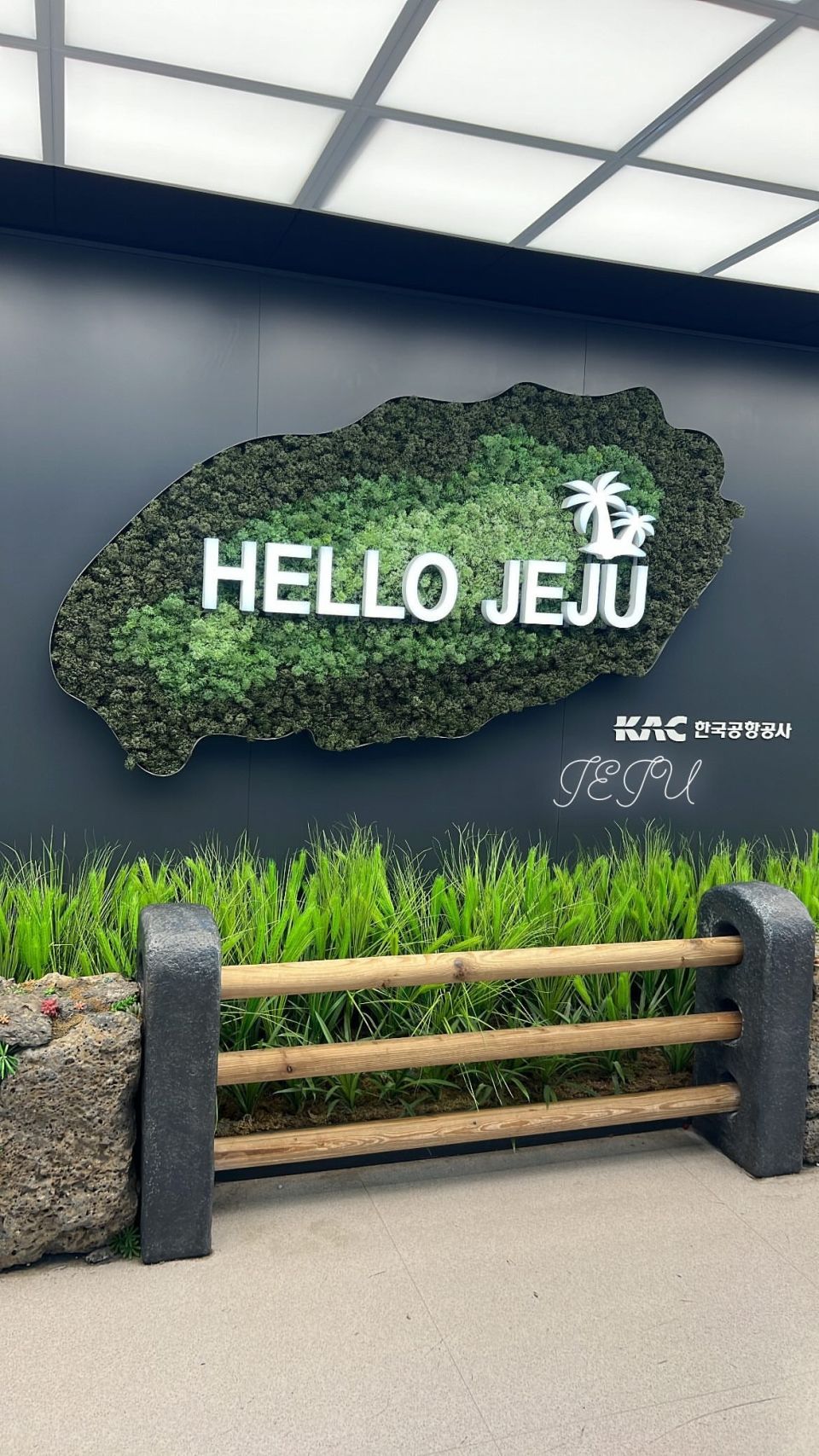 Photo for blog post Adventures in Jeju!