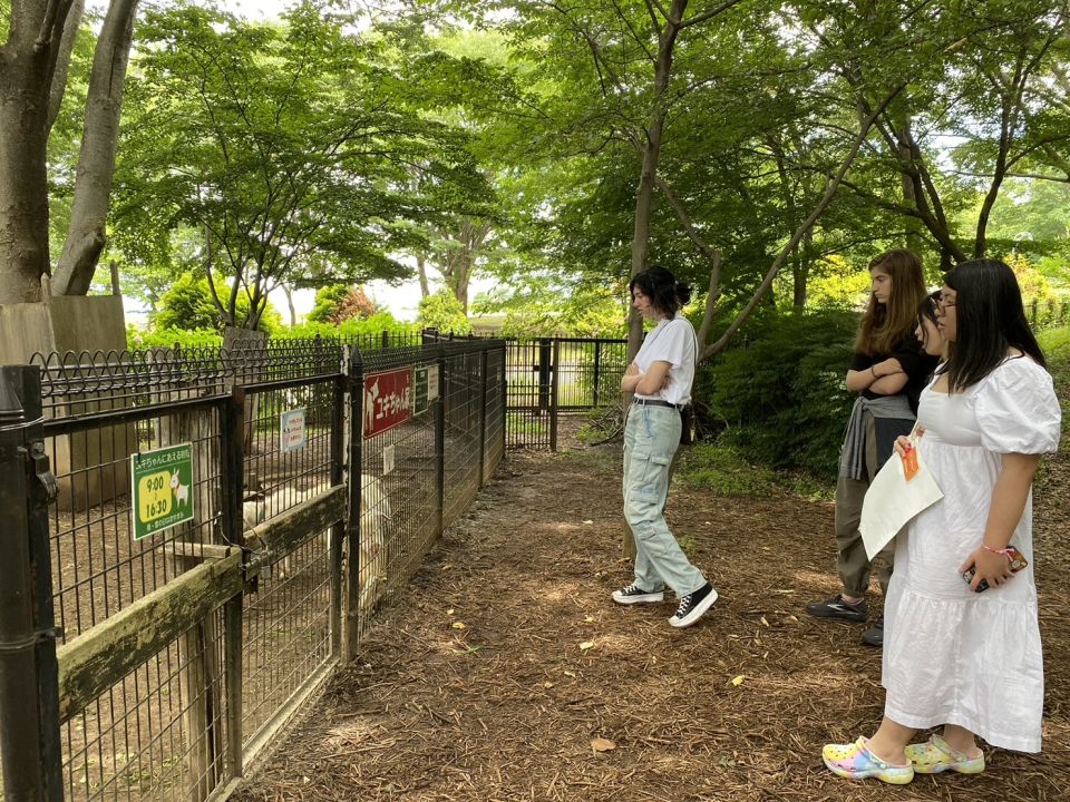 Photo for blog post Yamanashi Tales