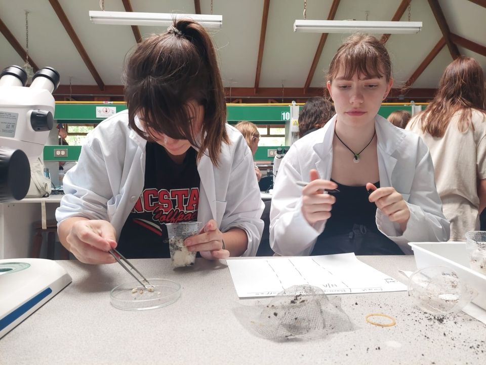 science women looking at rice traps in lab