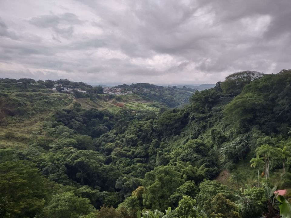 Photo for blog post Welcome to Monteverde!