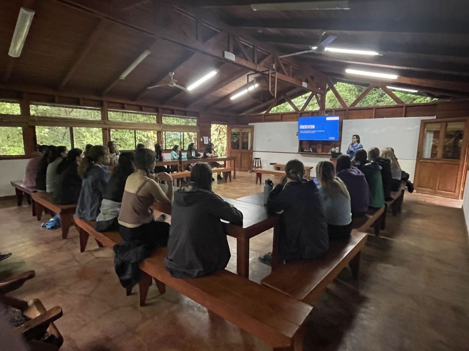 Photo for blog post Welcome to Monteverde!