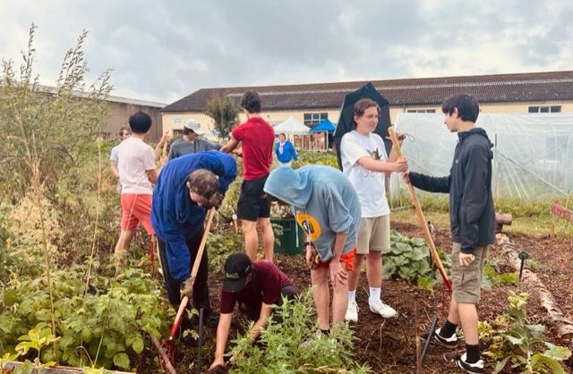 Many hands make the work easy.