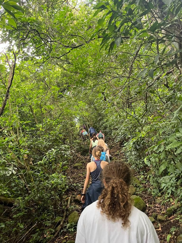 Photo for blog post Welcome to Monteverde!