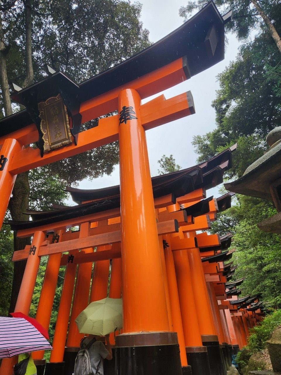 Photo for blog post Senbon Torii - Fushimi Inari Shrine
