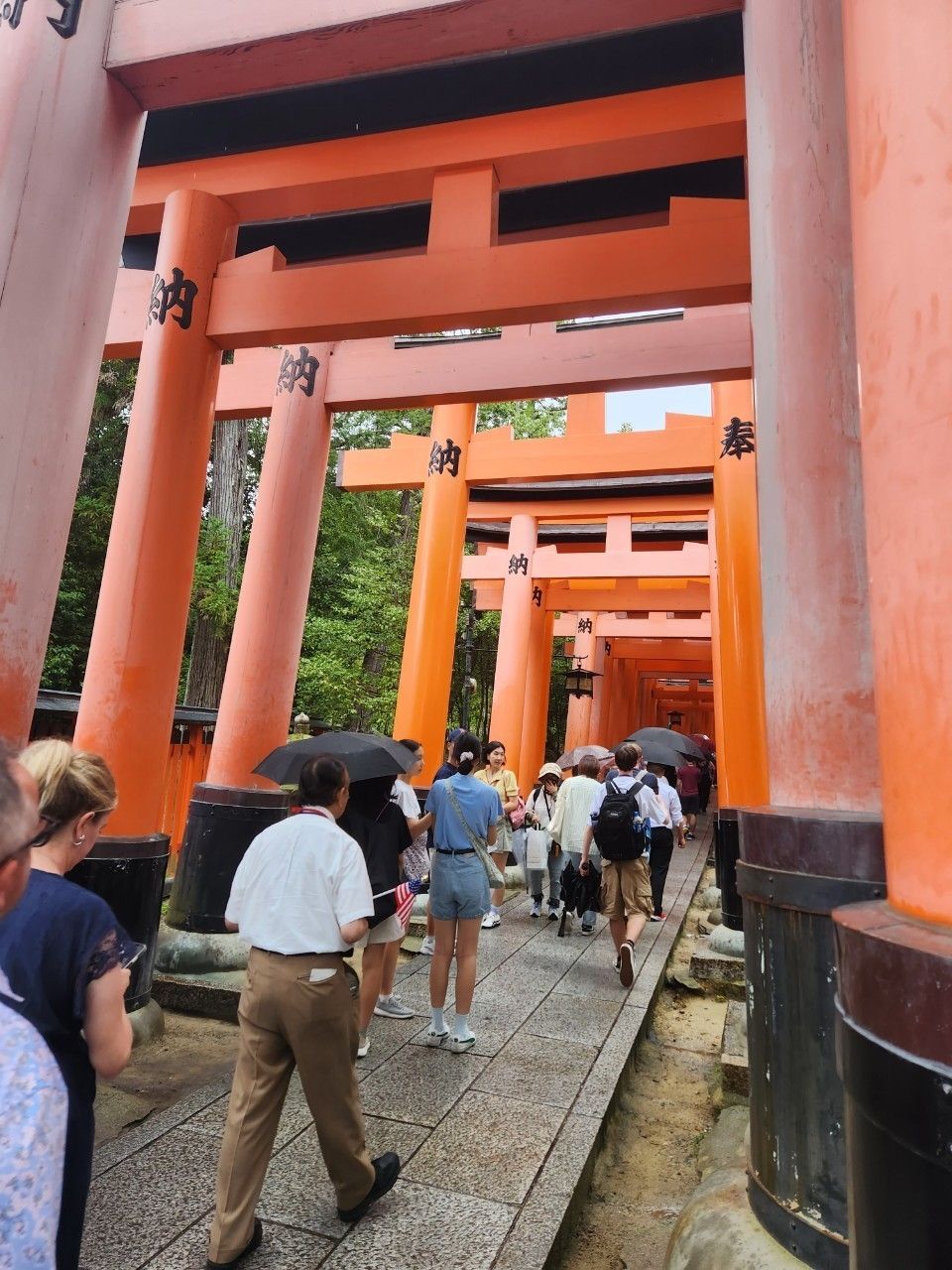 Photo for blog post Senbon Torii - Fushimi Inari Shrine