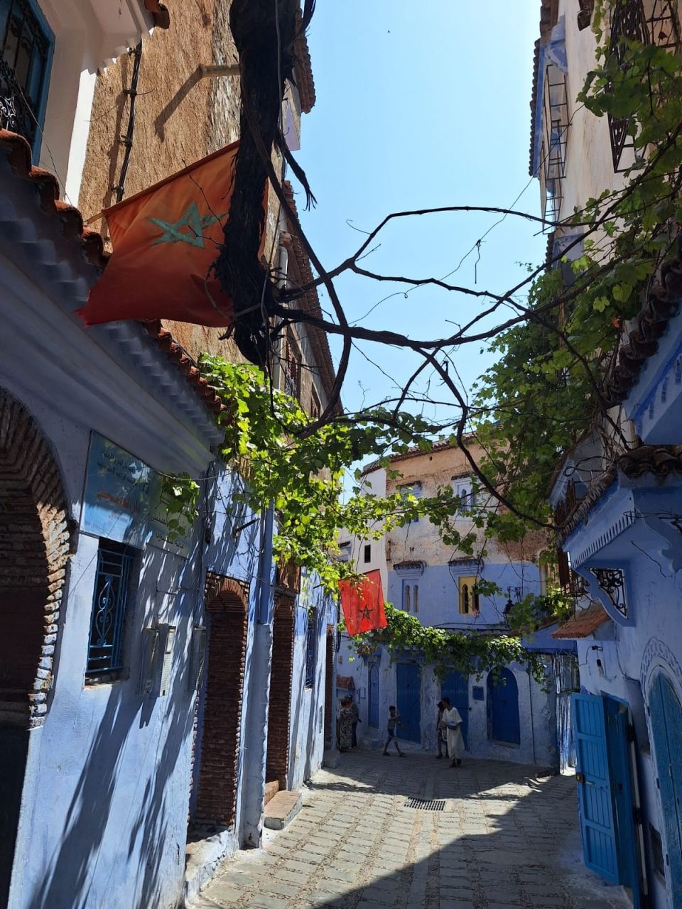 Photo for blog post Exploring Geographical and Cultural Diversity in Chefchaouen, Morocco